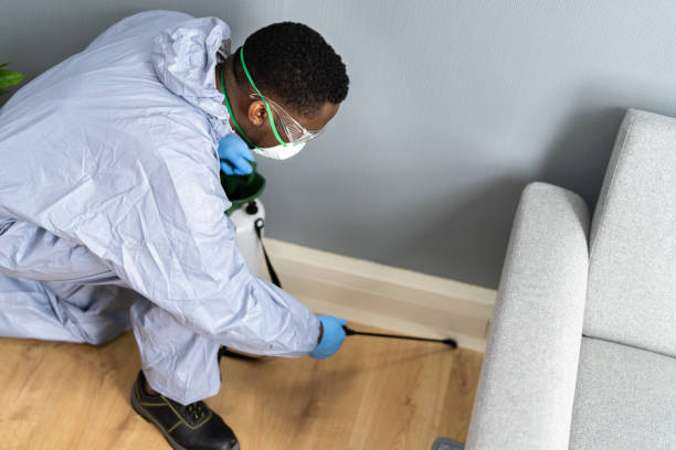 Real Estate Pest Inspections in Murray, KY